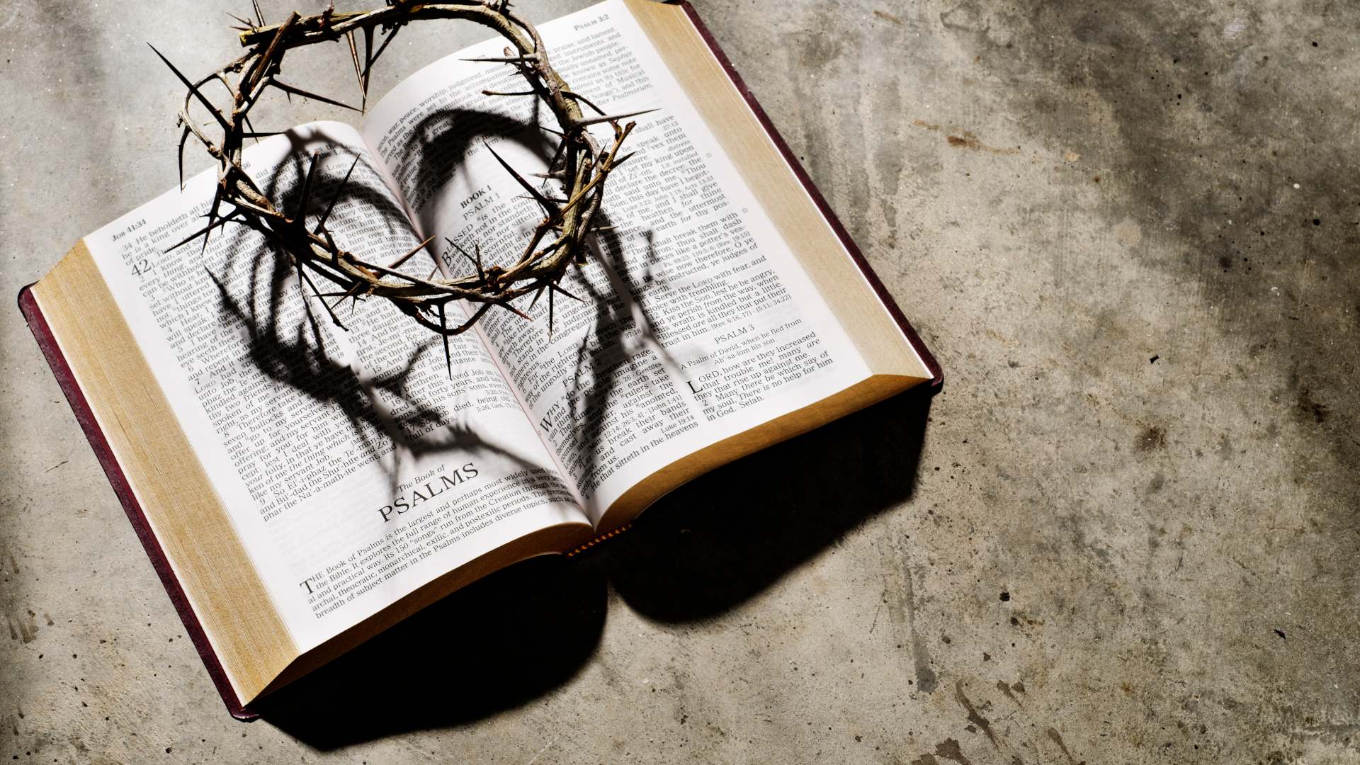A crown of thorns resting on a Bible, whose shadow makes a heart shape